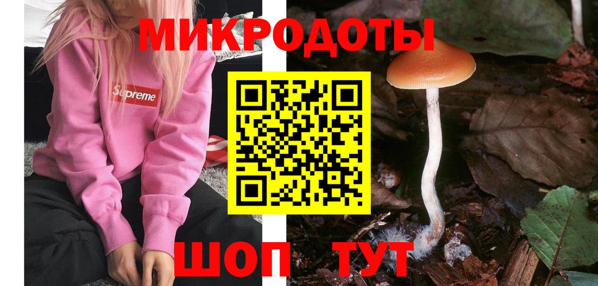 Курчалой  Галлюциногенные грибы Cubensis  Псилоцибиновые грибы MAGIC MUSHROOMS  Вход с VPN 