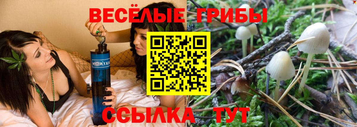 Псилоцибиновые грибы MAGIC MUSHROOMS Курчалой