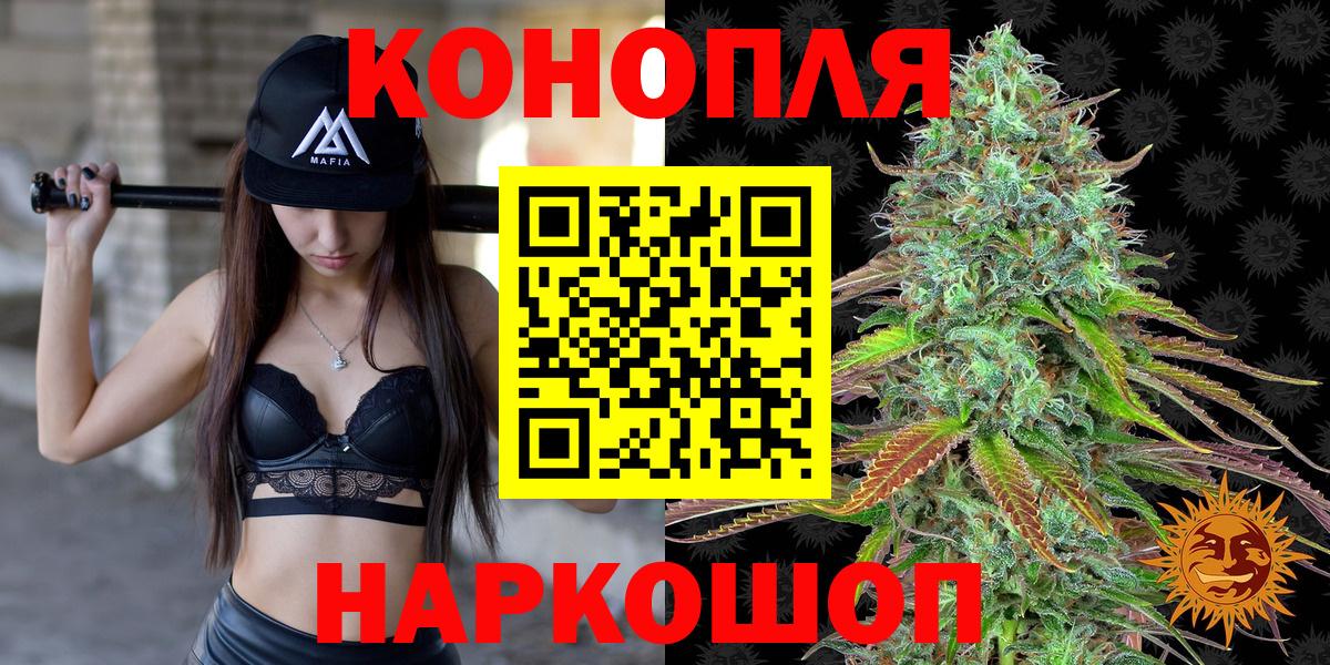 Конопля тримм Курчалой